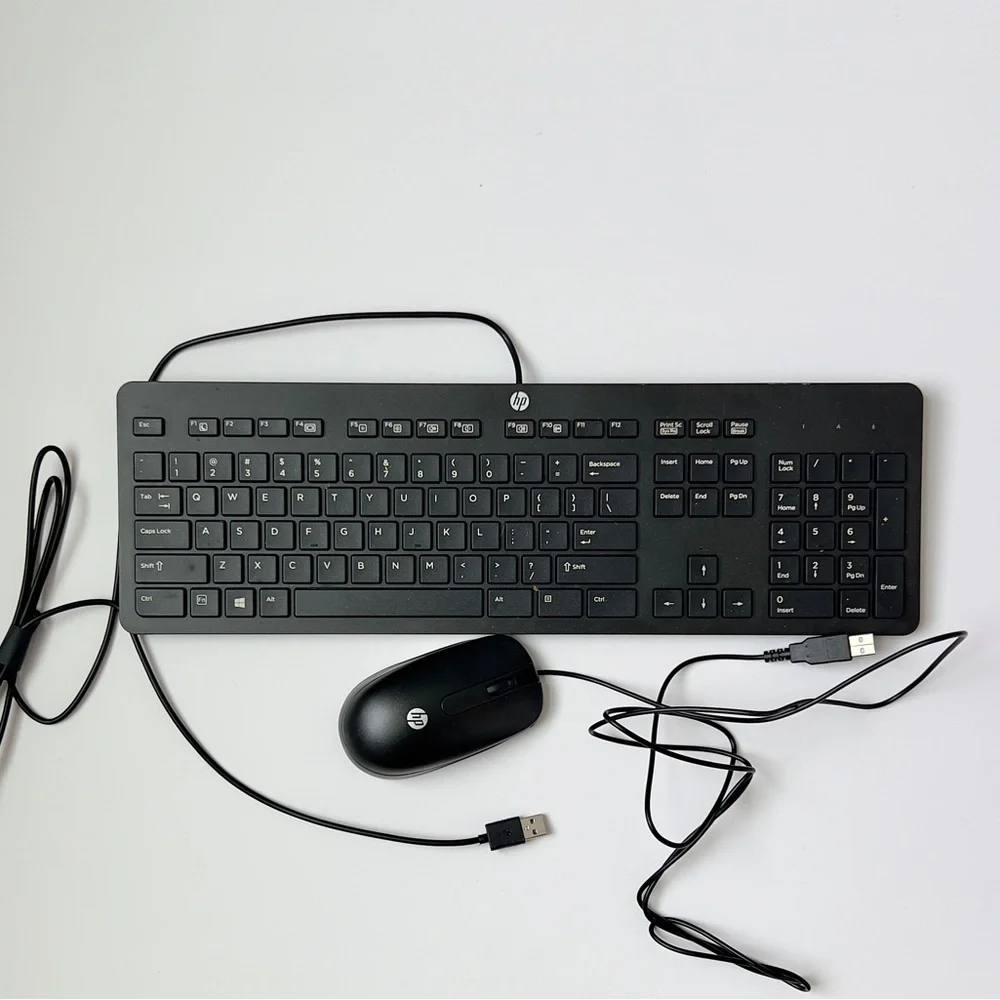 HP Black Keyboard and Mouse Set